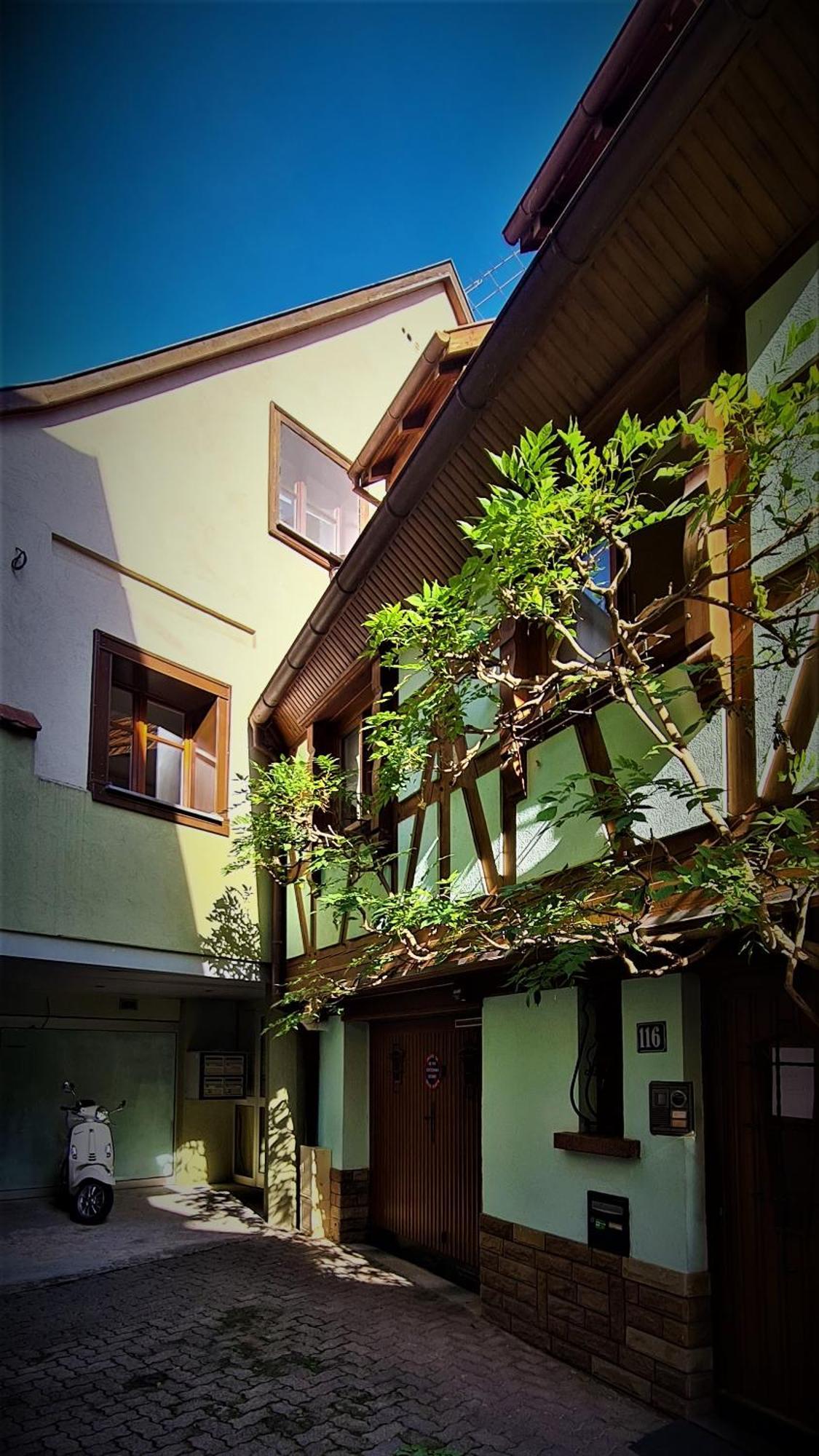 오베르네 Duplex Au Centre Avec Parking - L'Etoile 아파트 외부 사진